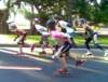 corridafamilyrun2_small.jpg